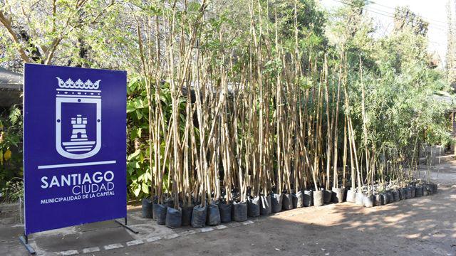 La Municipalidad junto a ONGs dentro del programa plantar y adoptar un aacuterbol entregaraacute ejemplares en el bdeg Ejeacutercito Argentino