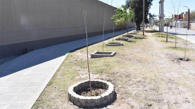 El cementerio La Piedad construyoacute canteros dentro del plan de reforestacioacuten de sus veredas