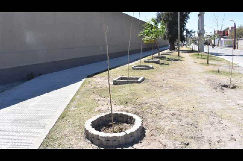 El cementerio La Piedad construyoacute canteros dentro del plan de reforestacioacuten de sus veredas