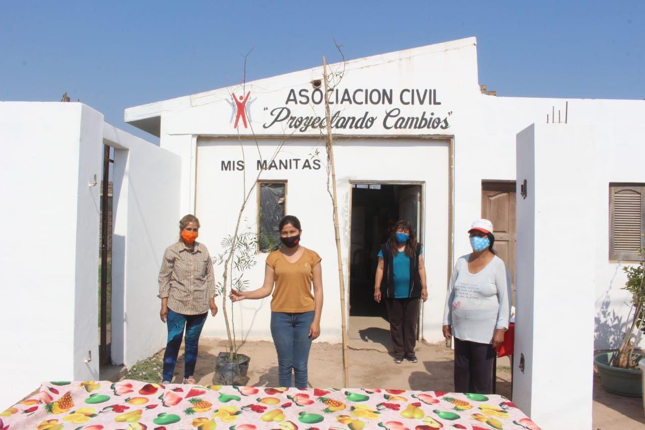 Se continuaraacute con la entrega de aacuterboles en el marco del programa Cuidemos y adoptemos un aacuterbol