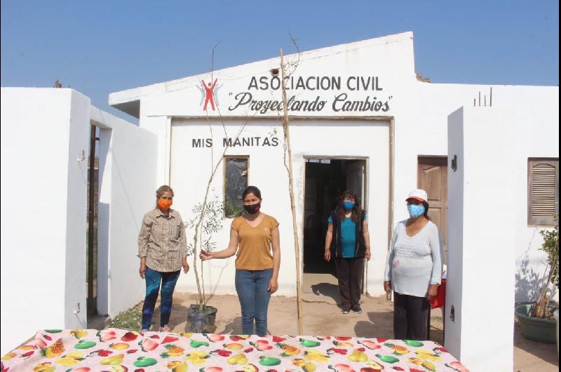 Se continuaraacute con la entrega de aacuterboles en el marco del programa Cuidemos y adoptemos un aacuterbol