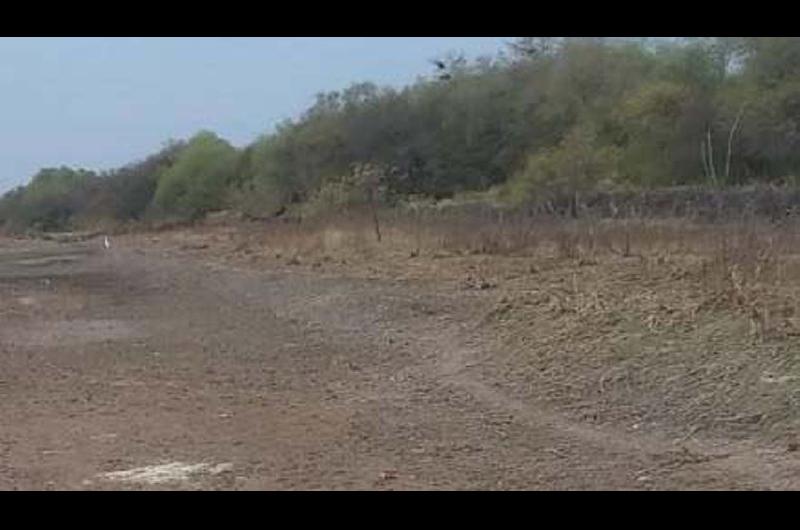 Productores loretanos jaqueados por la falta de agua en el riacuteo Namby