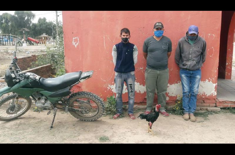 Tres de los galleros apresados ayer en Weisburd y los policías
buscaban a los otros cuatro de la reunión abundante en alcohol y apuestas