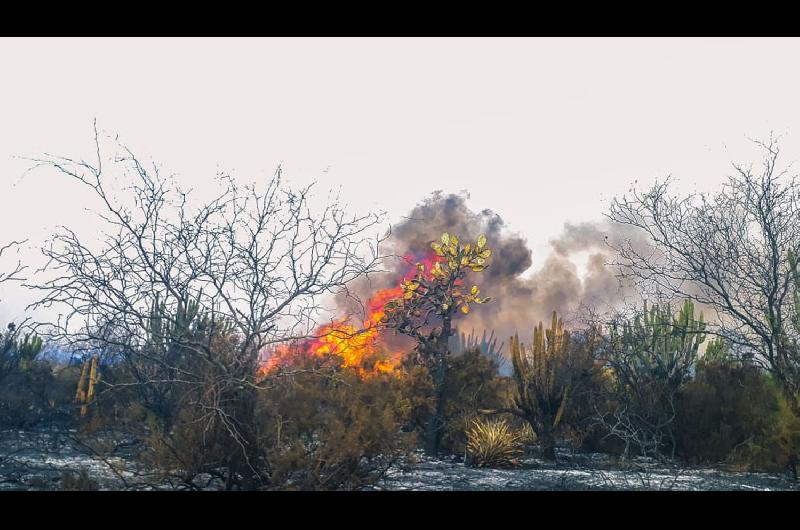 Imaacutegenes  Incendio de grandes proporciones alarmoacute a vecinos de Vaca Huantildeuna