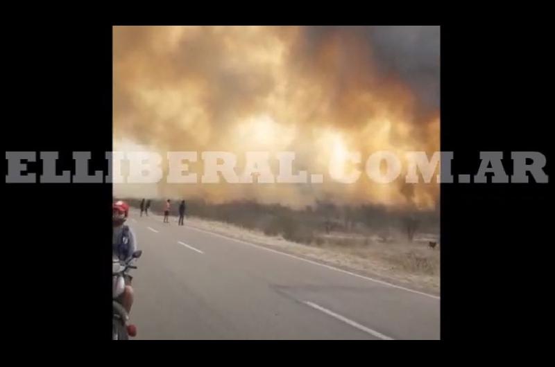 VIDEO  Incendios de campos cercan a una localidad del departamento Salavina