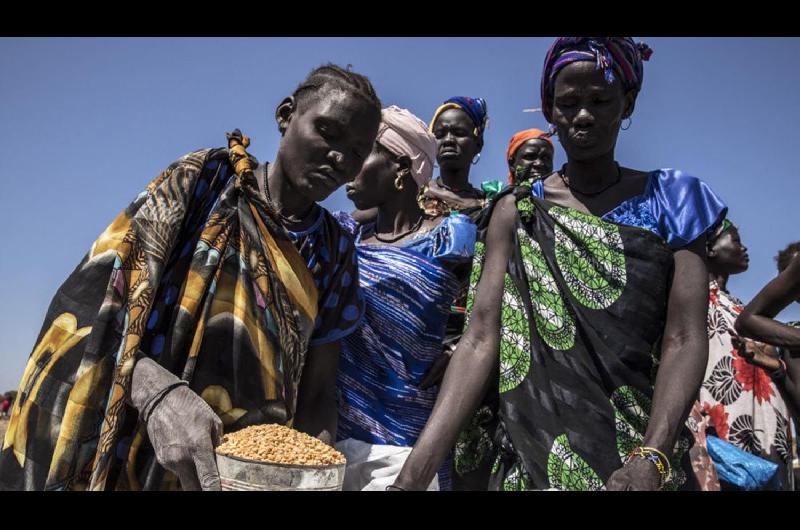 El premio Nobel de la Paz fue para el Programa Mundial de Alimentos de la ONU