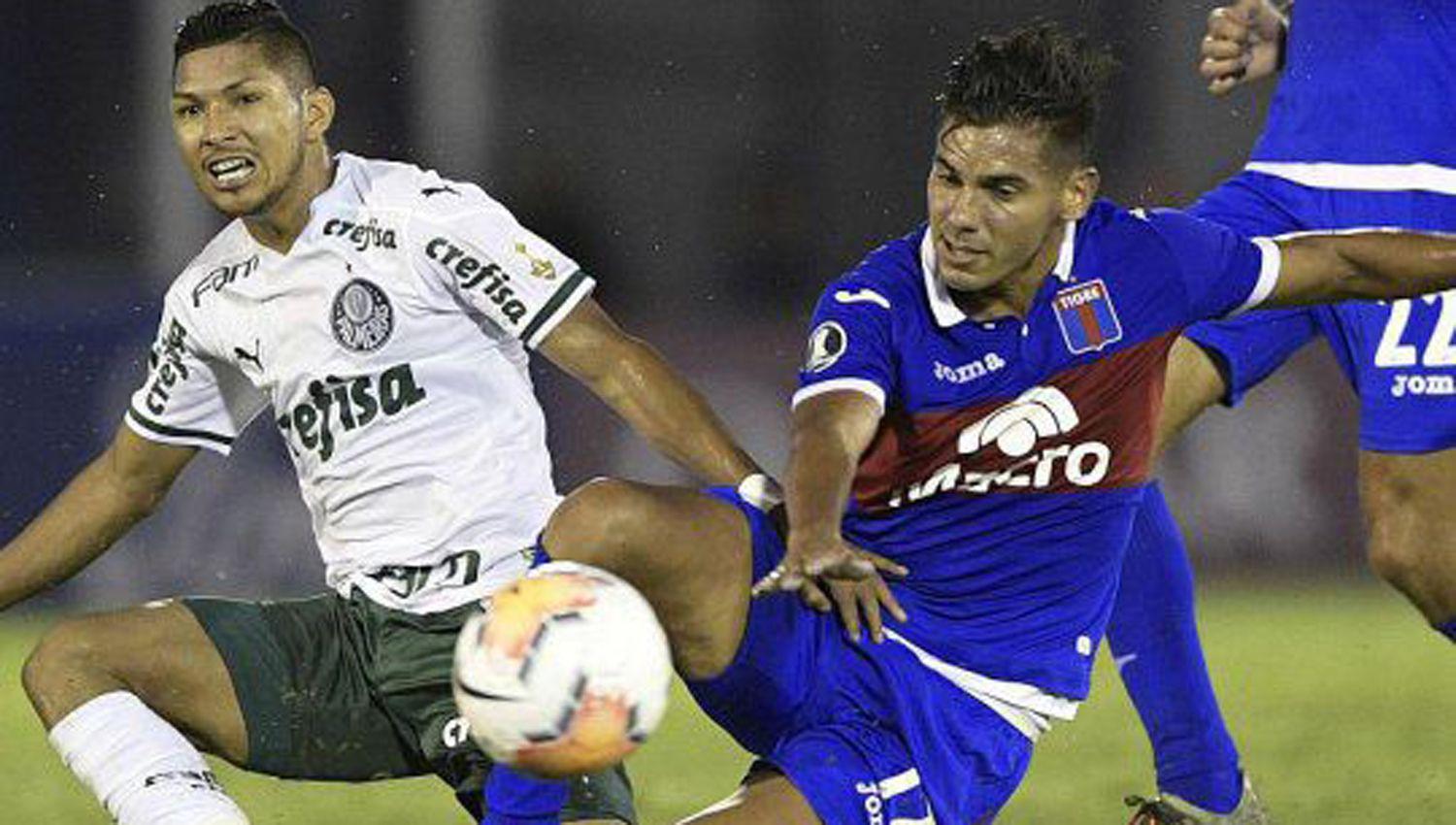 Tigre intentaraacute despedirse de la Libertadores con una victoria en Brasil