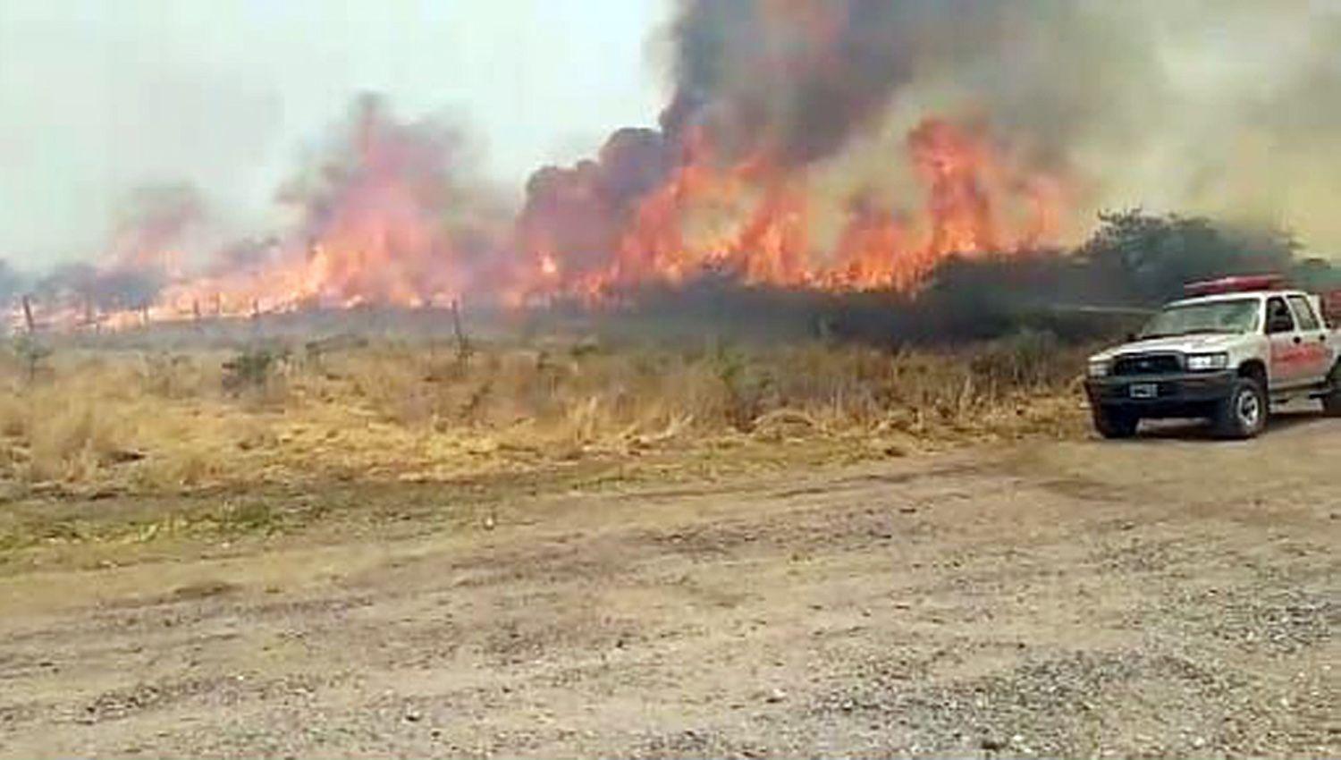 Hemos dispuesto un relevamiento de los daños ganado muerto a raíz del fuego expresó el jefe comunal Antonio Bitar