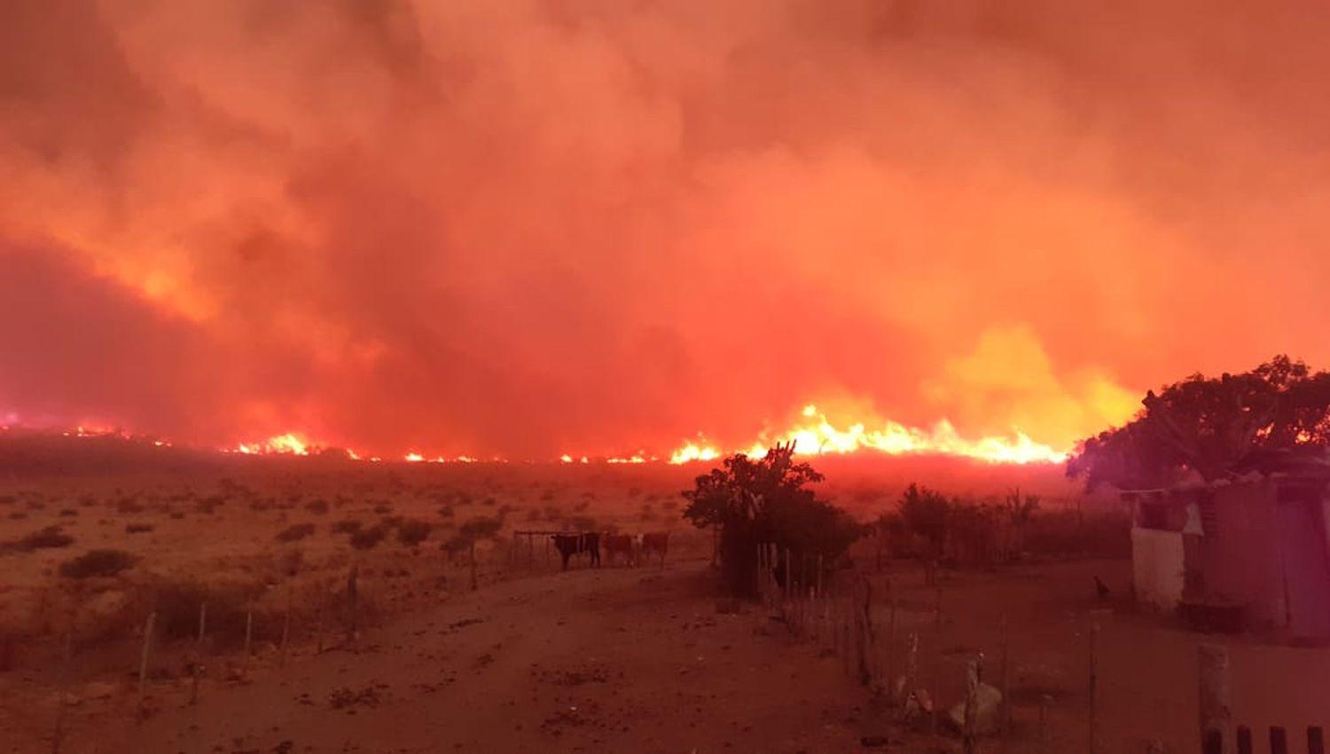 Las llamas consumieron gran cantidad de hect�reas Por fortuna la lluvia aplacó el fuego