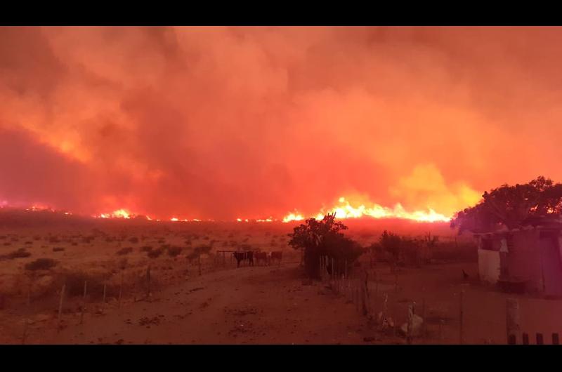 Las llamas consumieron gran cantidad de hect�reas Por fortuna la lluvia aplacó el fuego