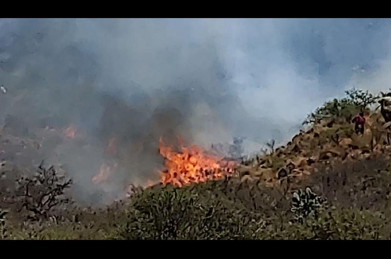 Dantildeos materiales en campos alambrados y muerte de ganado dejoacute un incendio forestal sobre la ruta 13