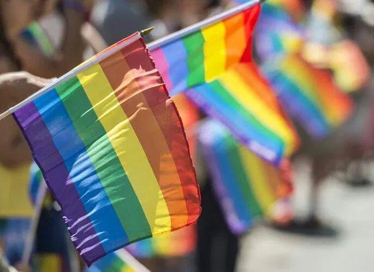 Por la pandemia la Marcha del Orgullo se celebroacute con una movilizacioacuten virtual