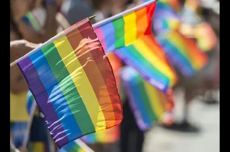 Por la pandemia la Marcha del Orgullo se celebroacute con una movilizacioacuten virtual