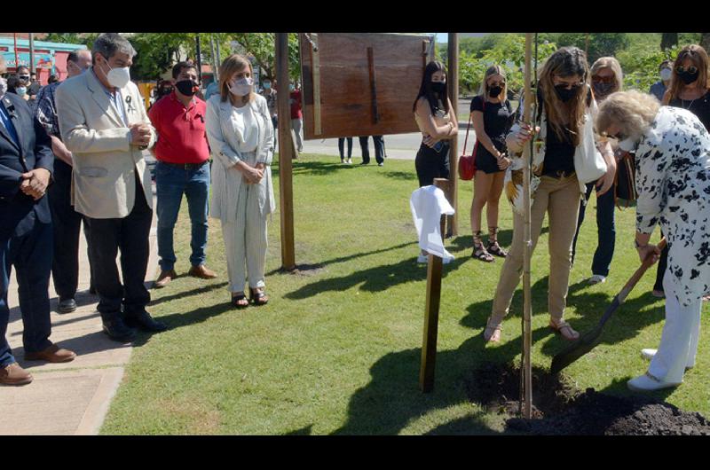 Familiares de un médico fallecido plantan un �rbol en presencia de la intendente y del presidente del
Consejo Médico