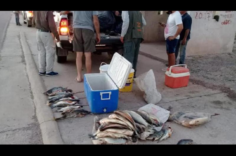 Desde el Ministerio de Produccioacuten se intensifican los controles de pesca