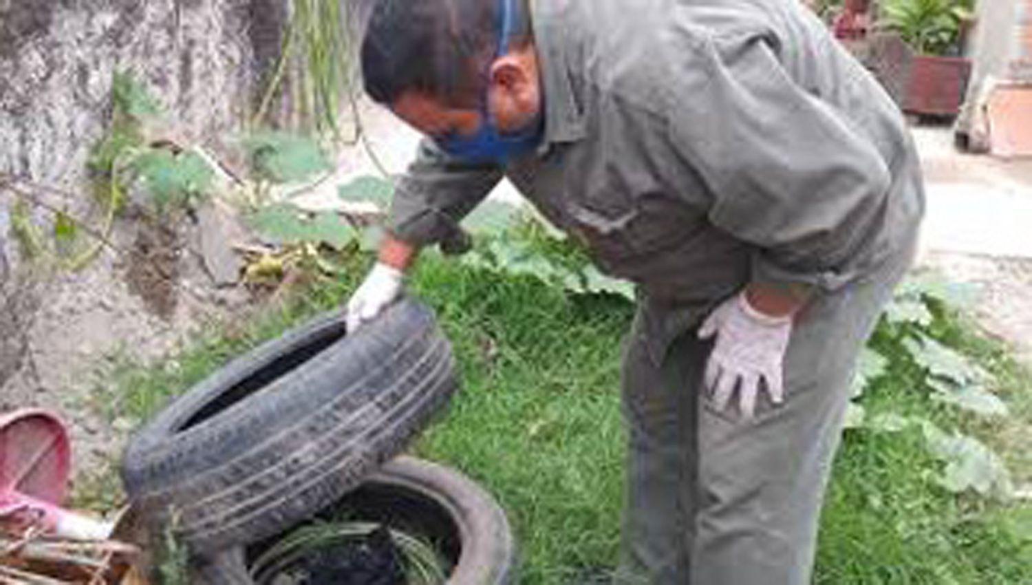 Seguiraacuten hoy las tareas de descacharreo en el barrio Mosconi