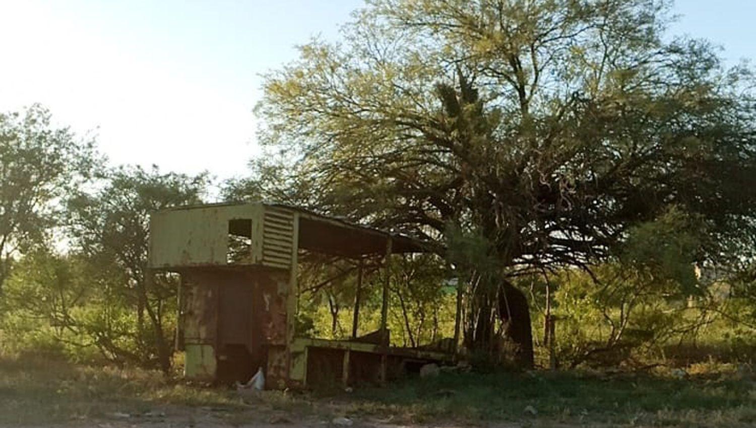 Un nintildeo fue atacado por un enjambre de abejas