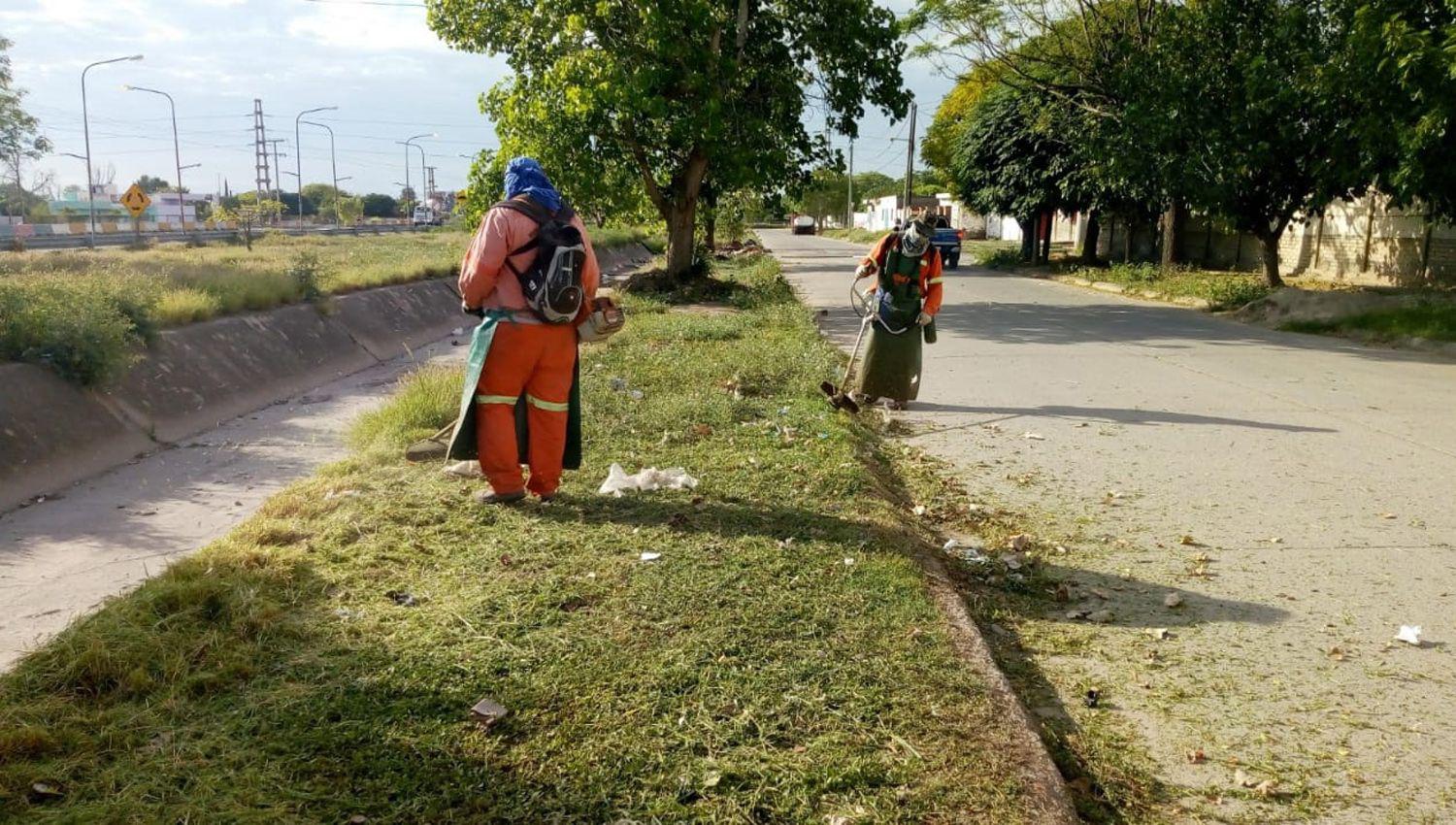 La Municipalidad reforzoacute la limpieza en colectora de Lugones