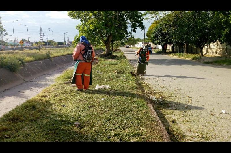 La Municipalidad reforzoacute la limpieza en colectora de Lugones