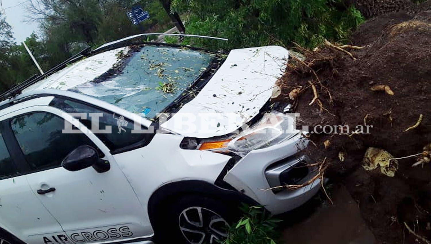 Temporal en Sumampa- Un aacuterbol destruyoacute la camioneta de una mujer policiacutea