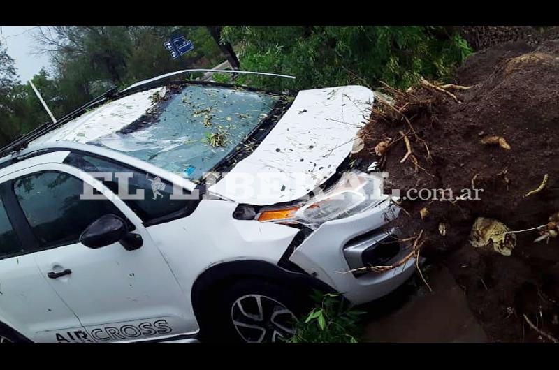 Temporal en Sumampa- Un aacuterbol destruyoacute la camioneta de una mujer policiacutea