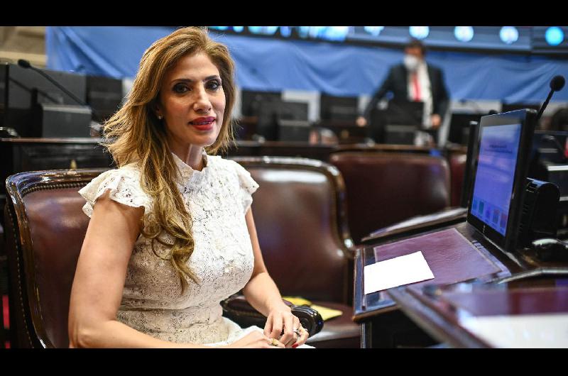 Esta es la fundamentacioacuten del voto de la senadora Claudia Ledesma de Zamora