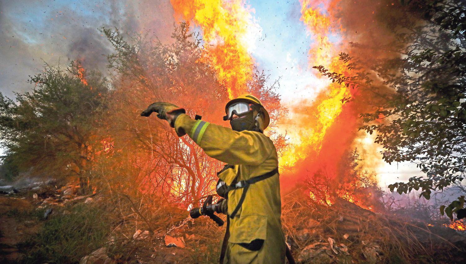 El antildeo en el que maacutes de un milloacuten de hectaacutereas fueron arrasadas en el paiacutes por incendios forestales