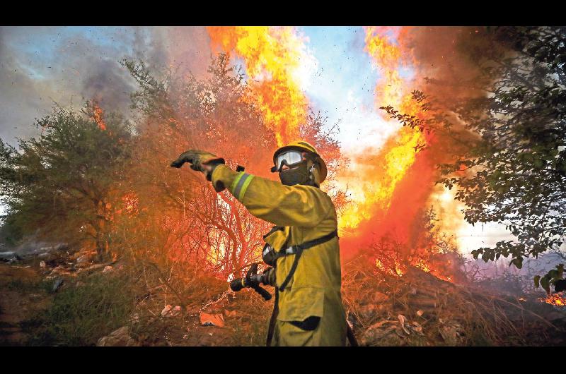 El antildeo en el que maacutes de un milloacuten de hectaacutereas fueron arrasadas en el paiacutes por incendios forestales