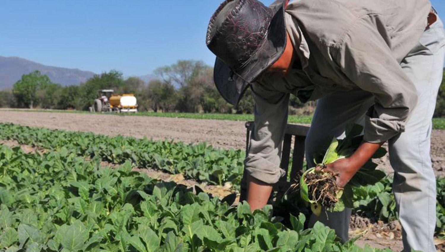 Eliminan retenciones para alentar las exportaciones de las economiacuteas regionales