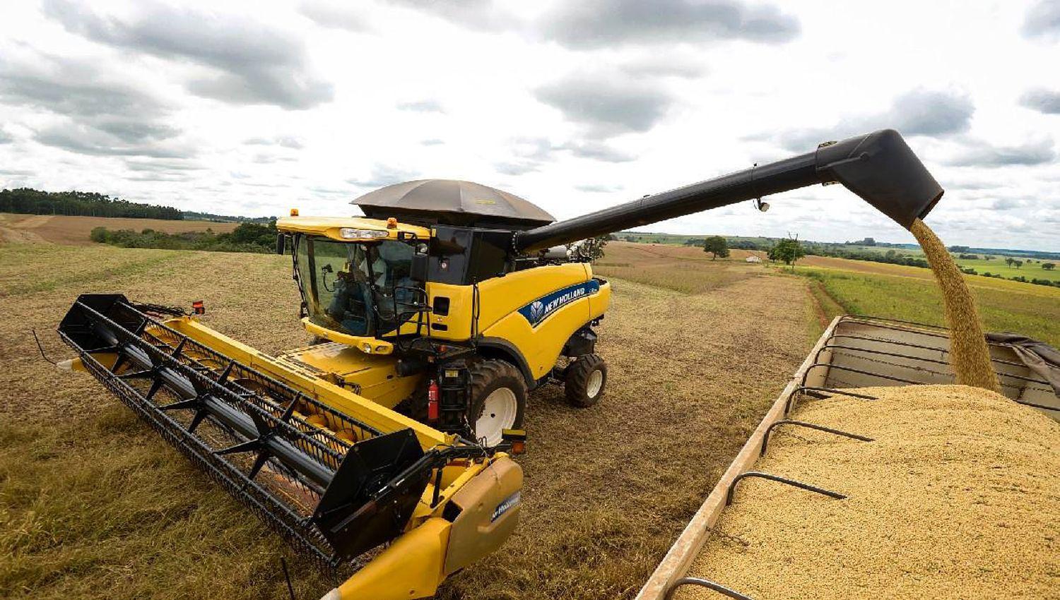 Confirmado- el campo pararaacute tres diacuteas contra el cierre de las exportaciones de maiacutez