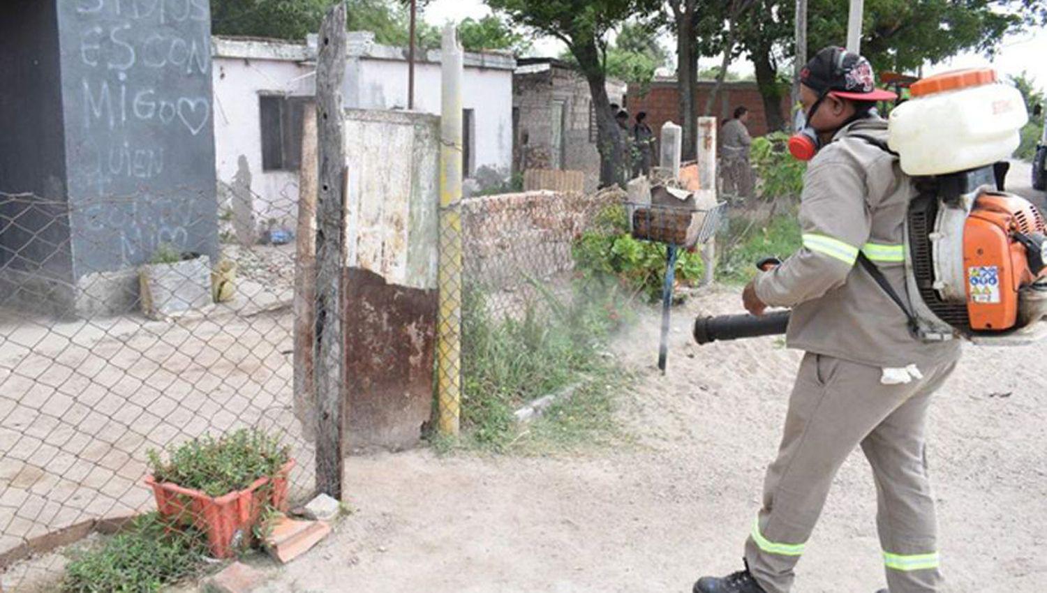 Se intensifican los pedidos de fumigacioacuten intradomiciliaria por temor al dengue