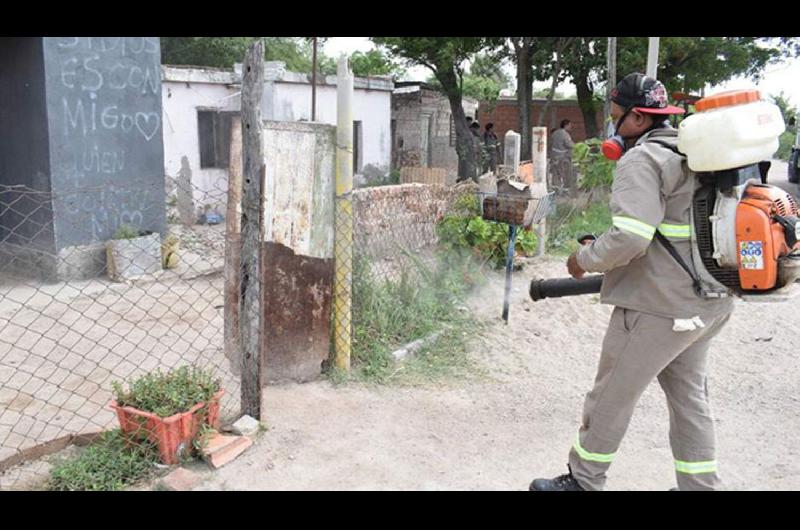 Se intensifican los pedidos de fumigacioacuten intradomiciliaria por temor al dengue