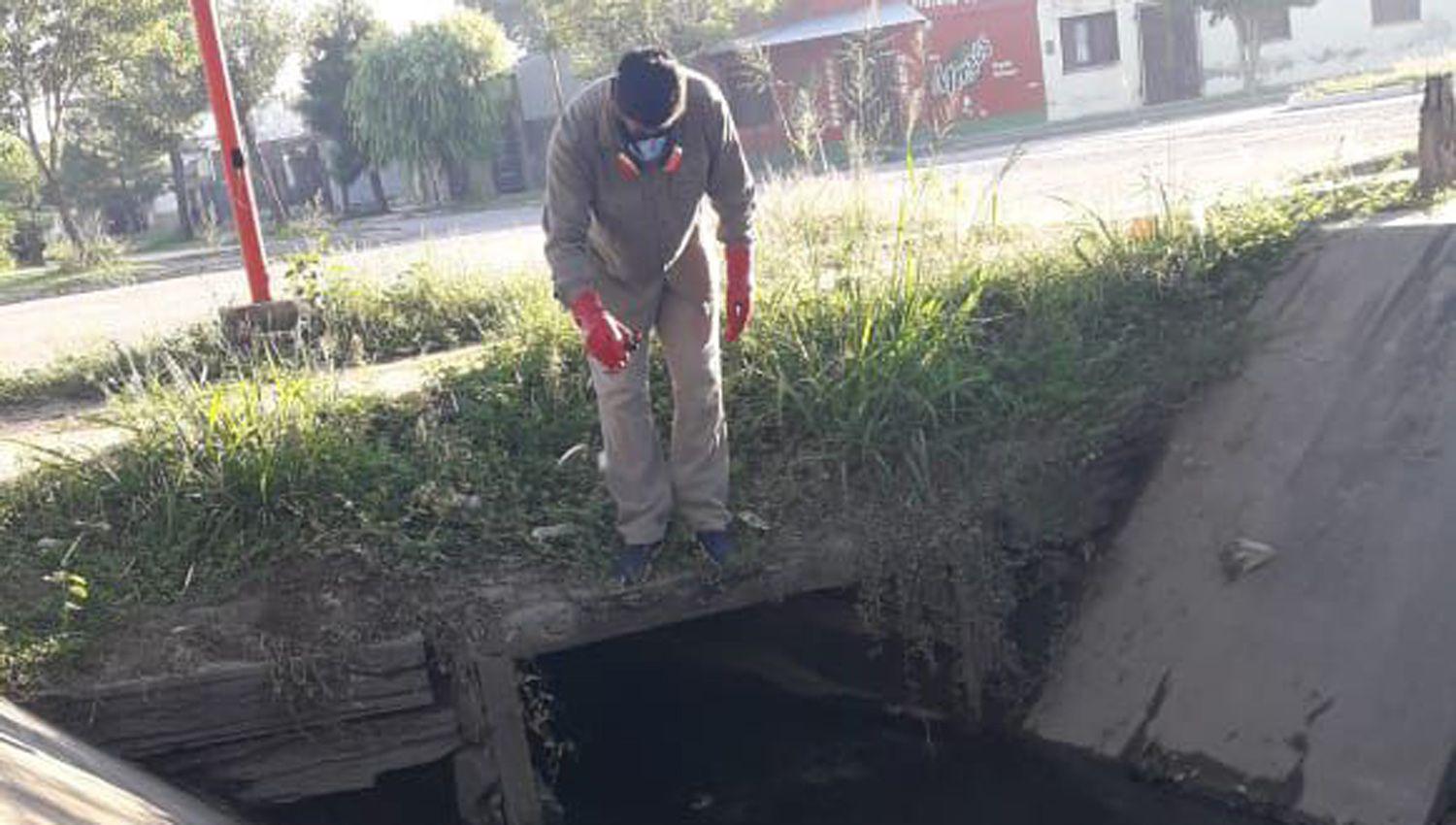 Intensa actividad del aacuterea de Ambiente y Educacioacuten para la Salud