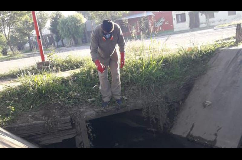 Intensa actividad del aacuterea de Ambiente y Educacioacuten para la Salud