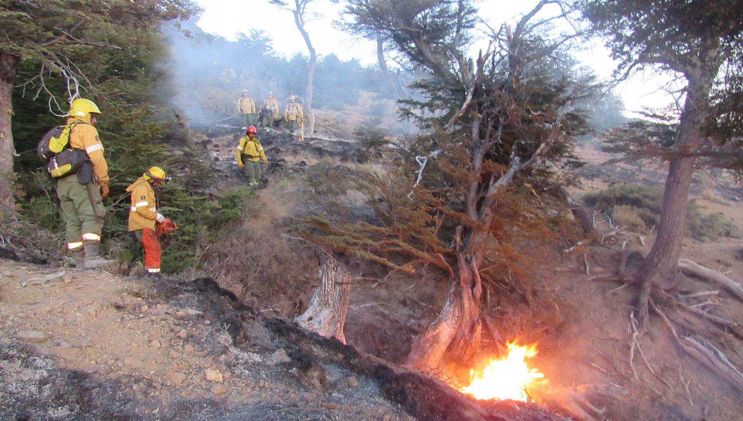 Preocupacioacuten por un incendio cerca de El Bolsoacuten- ldquoLa situacioacuten estaacute totalmente fuera de controlrdquo