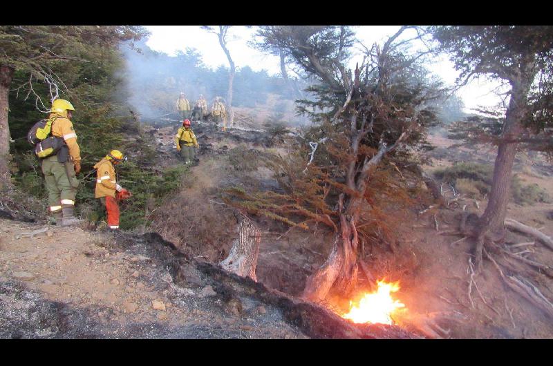 Preocupacioacuten por un incendio cerca de El Bolsoacuten- ldquoLa situacioacuten estaacute totalmente fuera de controlrdquo