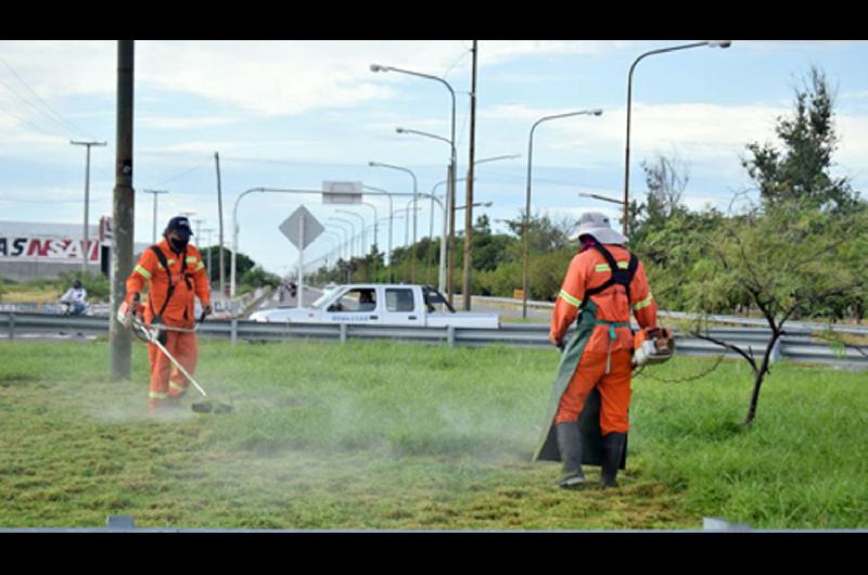 Centros Operativos continuacutean tareas de desmalezamiento