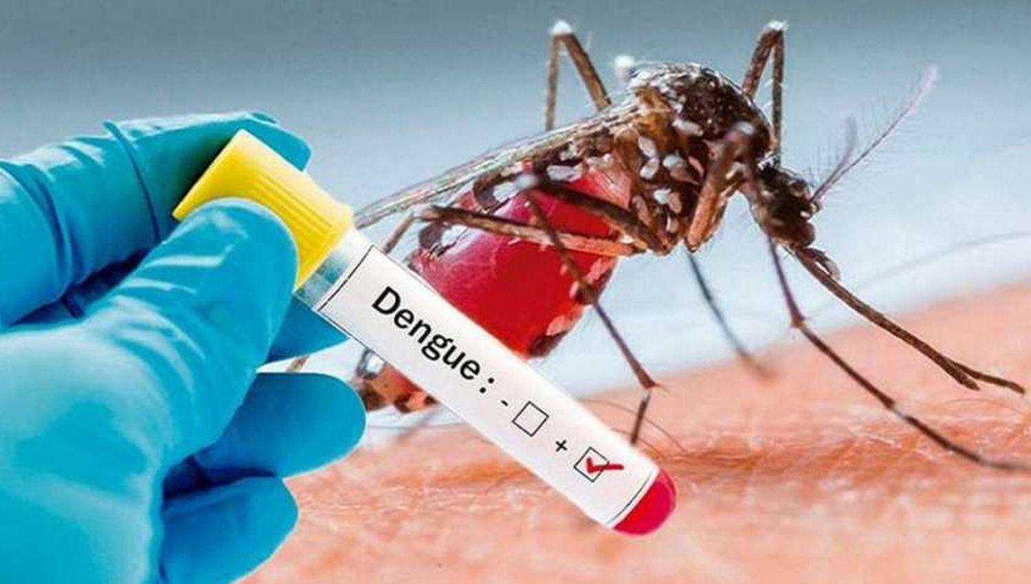 Se realizan tareas de prevención contra el dengue en toda la provincia