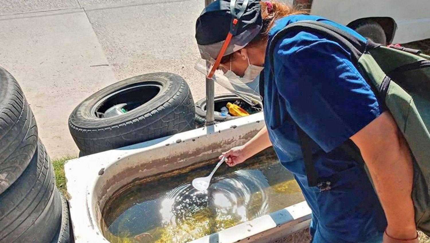 Por las lluvias piden acentuar la prevencioacuten contra el dengue