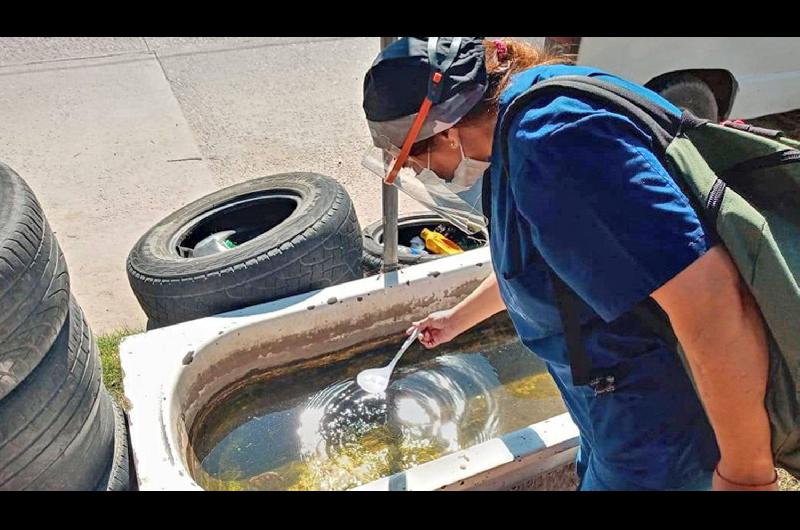 Por las lluvias piden acentuar la prevencioacuten contra el dengue