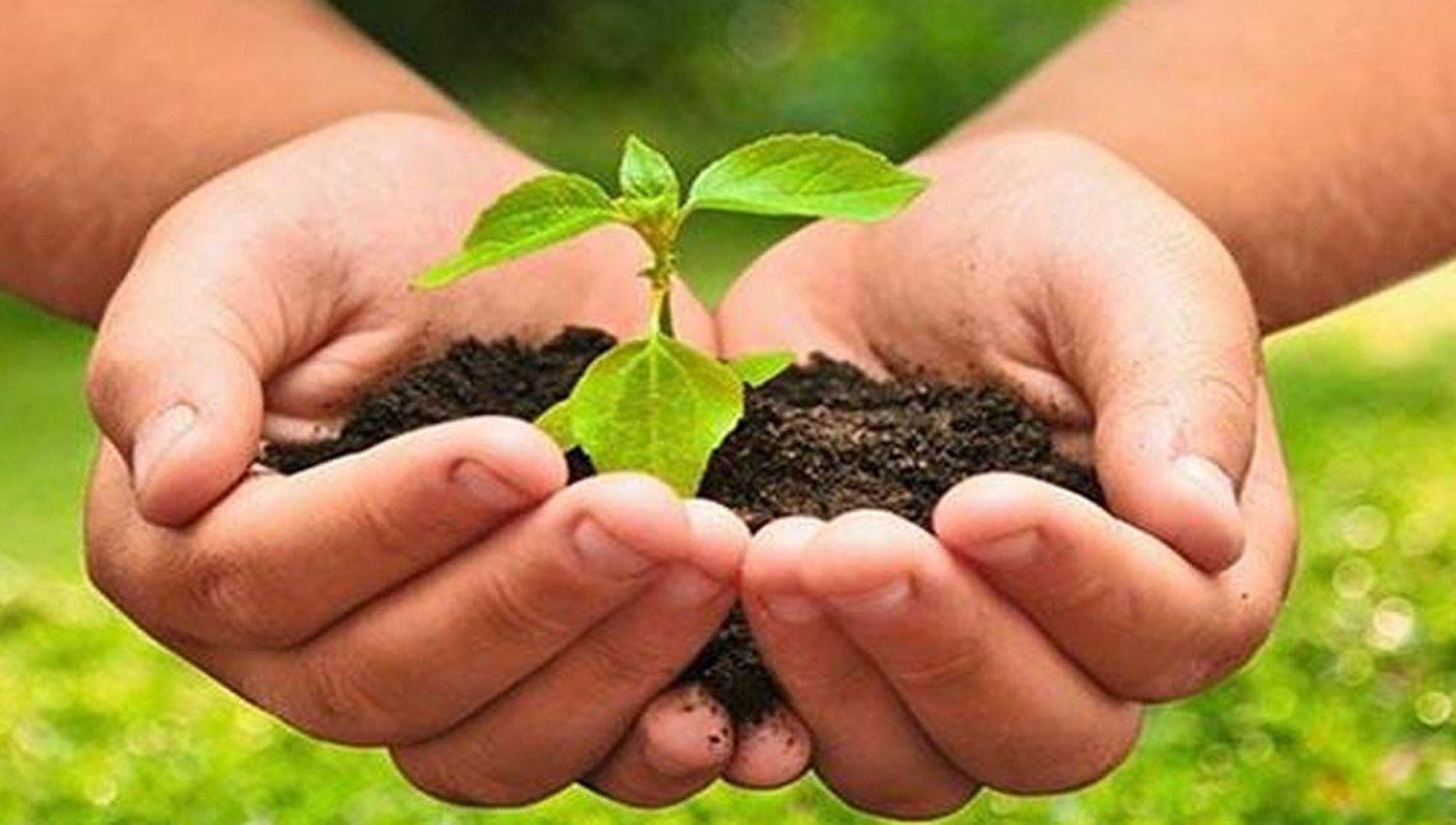 Comenzaraacuten a dictar un curso gratuito de agroecologiacutea