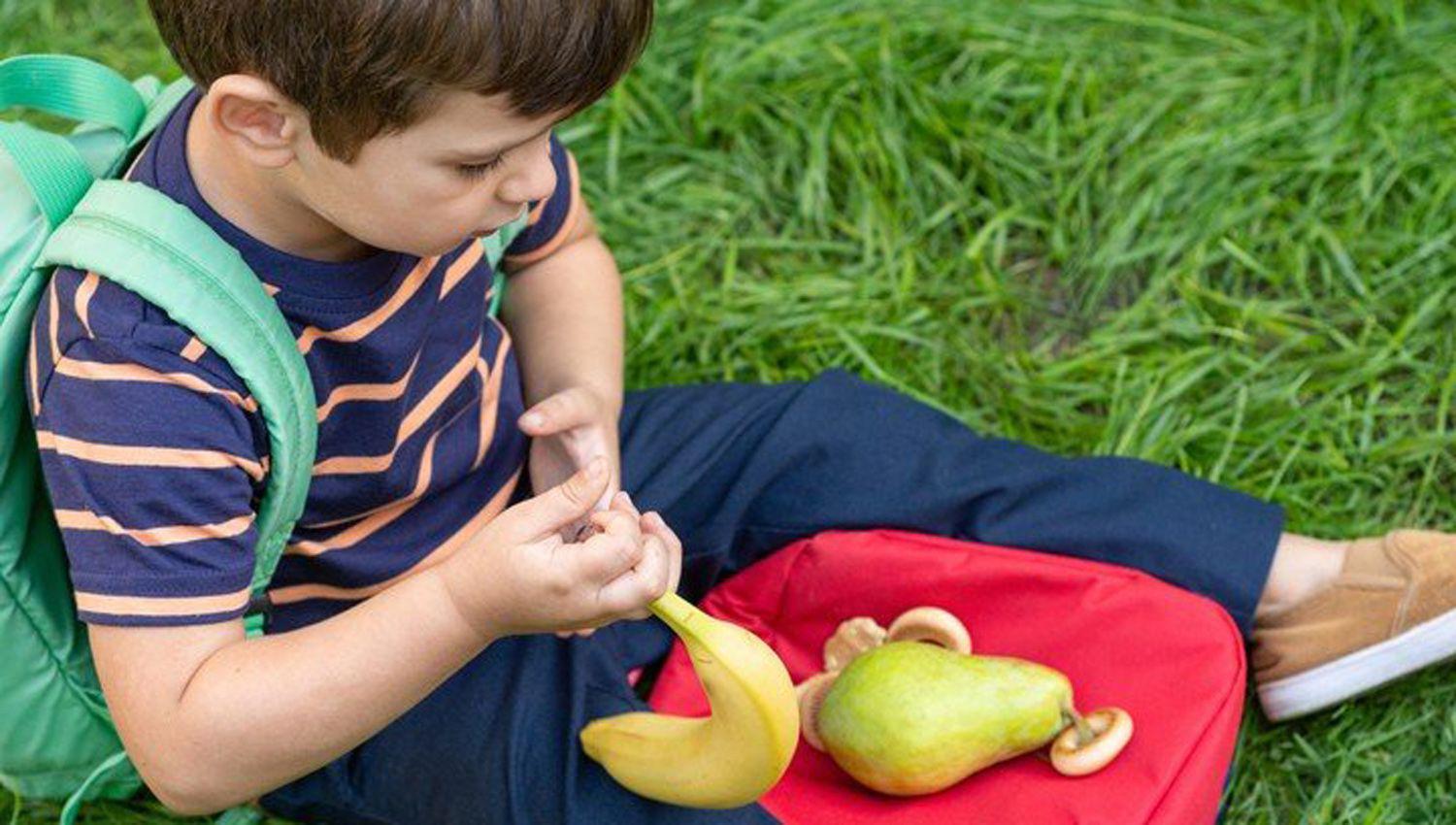 Destacan el valor de la alimentacioacuten saludable en nintildeos de edad escolar