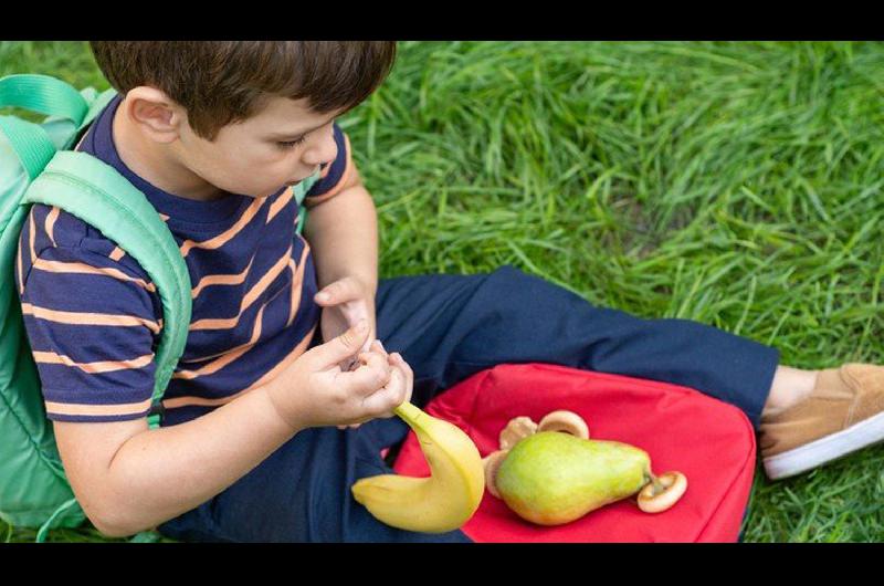 Destacan el valor de la alimentacioacuten saludable en nintildeos de edad escolar