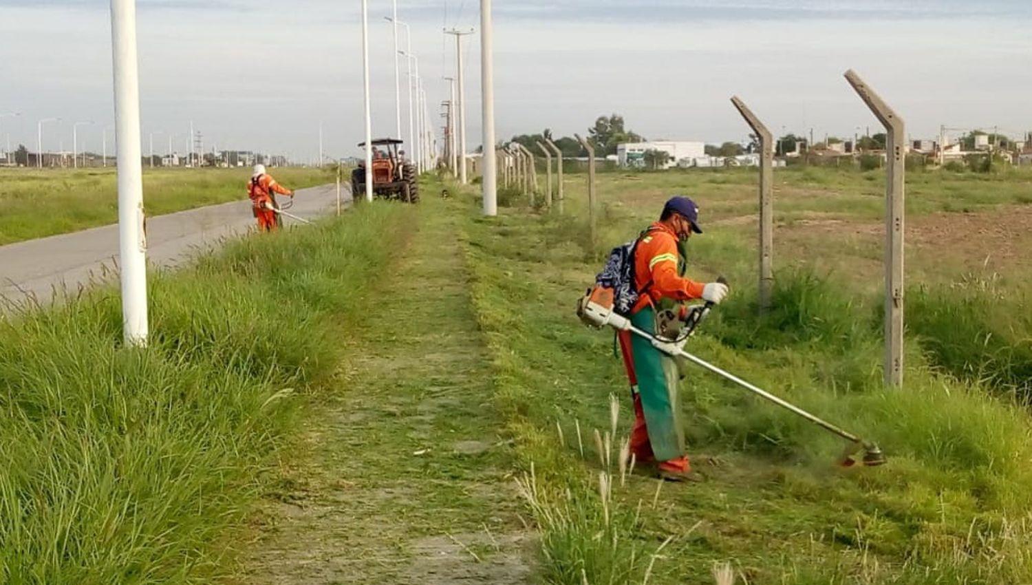 Servicios Urbanos de la Capital realiza desmalezamiento en colectora de la circunvalacioacuten