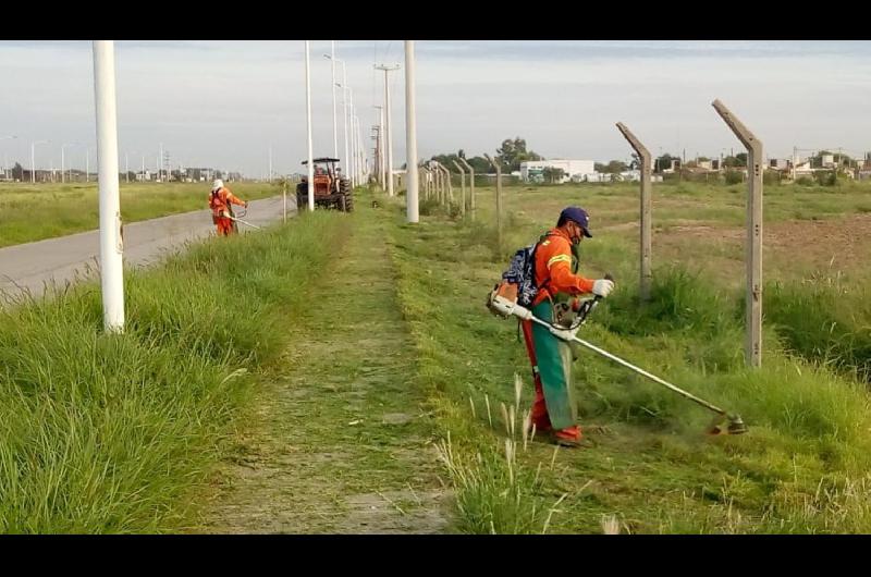 Servicios Urbanos de la Capital realiza desmalezamiento en colectora de la circunvalacioacuten