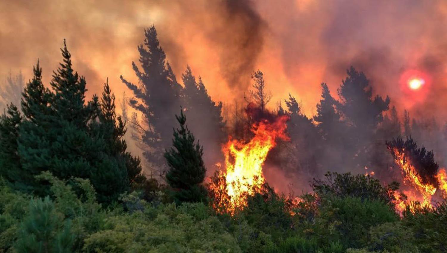 Encontraron calcinado al peoacuten que permaneciacutea desaparecido tras los incendios en la zona cordillerana