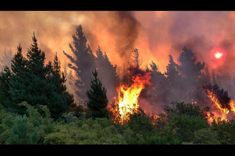 Encontraron calcinado al peoacuten que permaneciacutea desaparecido tras los incendios en la zona cordillerana