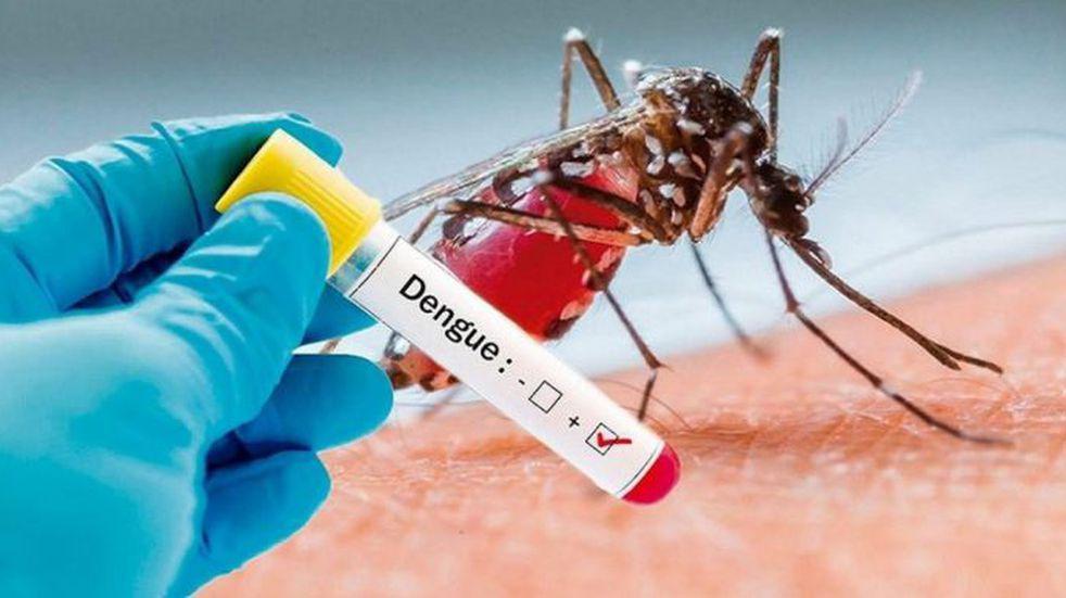 Confirman el primer caso autoacutectono de dengue en San Luis