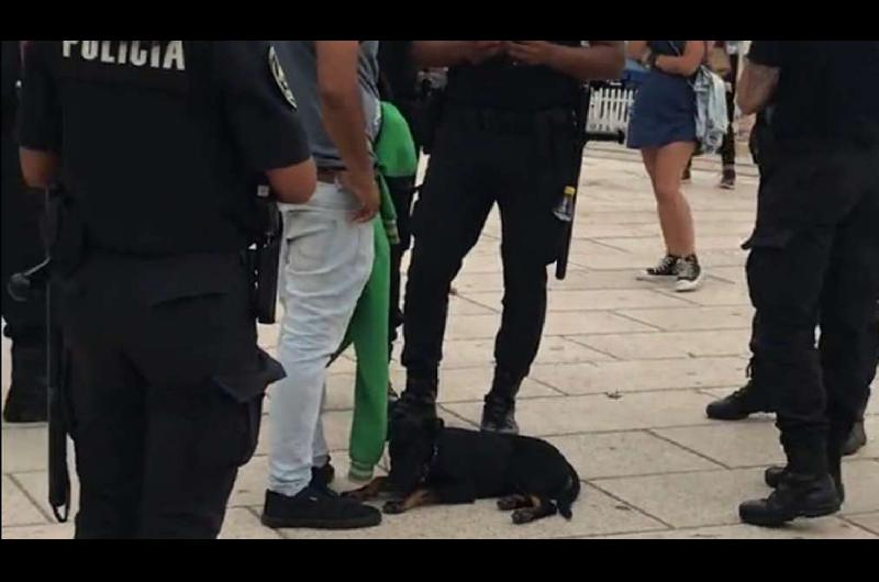 Un hombre le pegaba a su perro y unos de turistas recaudaron 4000 para salvar al cachorro