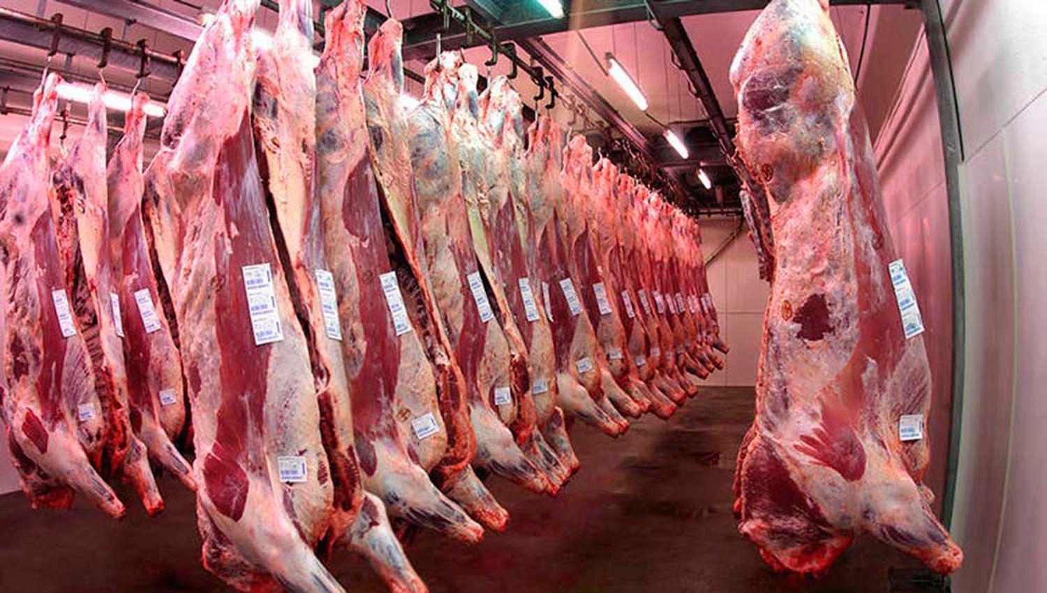 El precio de la carne subioacute casi un 10-en-porciento- a pesar de las trabas a las exportaciones